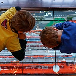 Vé Đài Quan Sát Chính Tokyo Tower (Main Observatory)