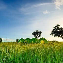 Tour 2N3Đ Sài Gòn - Trekking Thảo Nguyên Pal Sol - Tỉnh Đăk Lăk, Xe Giường Nằm, Khởi Hành Tối Thứ 6 Hàng Tuần