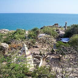 [Tour Tết] Tour tham quan Ninh Chữ - vịnh Vĩnh Hy 3 ngày 2 đêm khởi hành mùng 2 và 3 Tết (13 và 14/2/2020)  tại thành phố Hồ Chí Minh bằng xe du lịch 7-16-29-45 chỗ