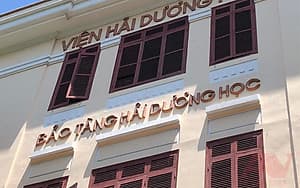 Tour Tham Quan Thành Phố Nha Trang City Tour 1 Ngày Trọn Gói Bao Gồm Xe Đưa Đón + Hướng Dẫn Viên Suốt Tuyến + Vé Tham Quan + Ăn Trưa