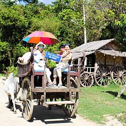 Vé Phuket Safari Gói D + Bữa Tối (14:30-19:00)