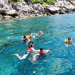 Daily Tour Cù Lao Chàm