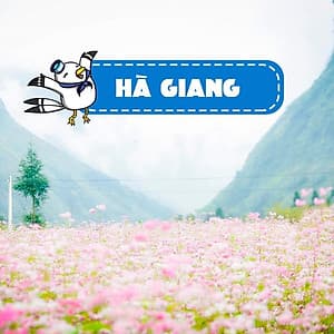 Tour 3N2Đ Hà Giang - Đồng Văn - Lũng Cú - Quản Bạ, Khởi Hành Thứ 6 Hàng Tuần & Dịp Lễ Tết Từ Hà Nội