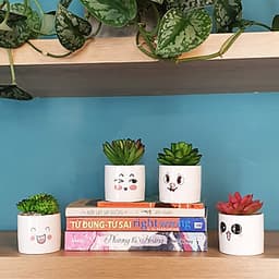 Bộ 4 chậu sen đá nhân tạo mini họa tiết hoạt hình đáng yêu