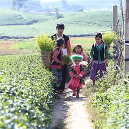 Tour 4N3Đ Hà Nội - Mai Châu - Pù Luông - Suối Cá Thần - Thung Nham - Chùa Tam Chúc, Khởi Hành Thứ 5 Hàng Tuần & Dịp Lễ Tết