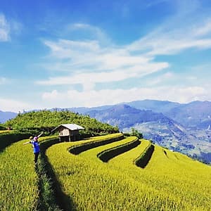 Tour Mù Cang Chải 2N1Đ Mùa Lúa Chín, Khởi Hành Thứ 7 Hàng Tuần & Dịp Lễ
