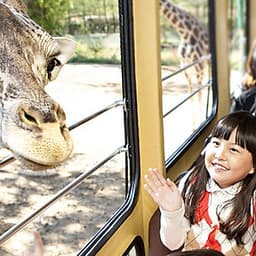 Vé Tham Quan Công Viên Everland Hàn Quốc