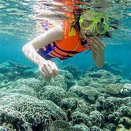 [Tour Tết] Tour tham quan Ninh Chữ - vịnh Vĩnh Hy 3 ngày 2 đêm khởi hành mùng 2 và 3 Tết (13 và 14/2/2020)  tại thành phố Hồ Chí Minh bằng xe du lịch 7-16-29-45 chỗ
