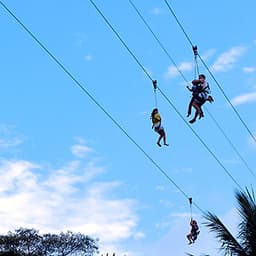 Vé Megazip Adventure Ở Sentosa Singapore