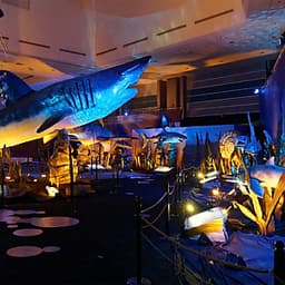 Vé Science Centre Và Rạp Phim Ommi Ở Singapore