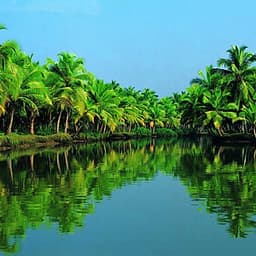 Tour Rừng Dừa Bảy Mẫu - Phố Cổ Hội An 01 Ngày, Khởi Hành Hàng Ngày Từ Đà Nẵng