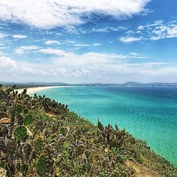 [Tour Tết 2021] 4N3Đ HCM - Quy Nhơn - Phú Yên, Khách Sạn 3 Sao, Gồm Vé Máy Bay Vietnam Airlines, Khởi Hành Mùng 3, 4 Tết