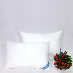 Bộ 2 Ruột Gối Đầu Thắng Lợi