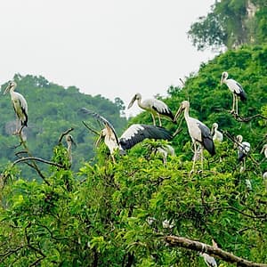 Tour 4N3Đ Hà Nội - Mai Châu - Pù Luông - Suối Cá Thần - Thung Nham - Chùa Tam Chúc, Khởi Hành Thứ 5 Hàng Tuần & Dịp Lễ Tết