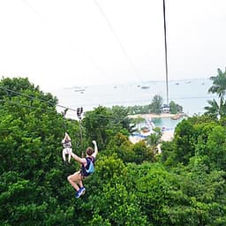 Vé Megazip Adventure Ở Sentosa Singapore