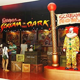 Vé Ripley'S World Of Entertainment Pattaya, Thái Lan (Loại Vé 5 Khu Triễn Lãm)