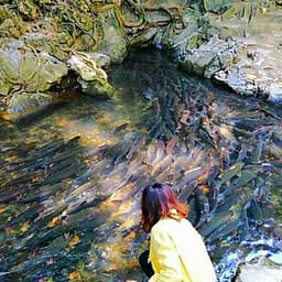 Tour 4N3Đ Hà Nội - Mai Châu - Pù Luông - Suối Cá Thần - Thung Nham - Chùa Tam Chúc, Khởi Hành Thứ 5 Hàng Tuần & Dịp Lễ Tết