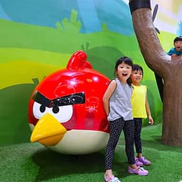 Vé Công Viên Angry Birds, Malaysia