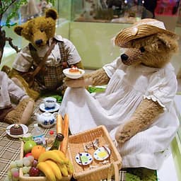 Vé Tham Quan Bảo Tàng Gấu Teddy Ở Seoul, Hàn Quốc