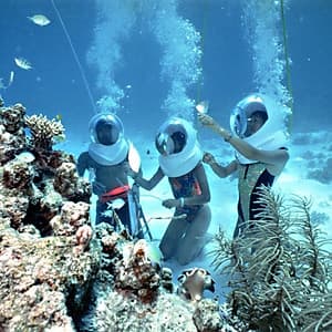 Tour đi bộ dưới biển Cù Lao Chàm