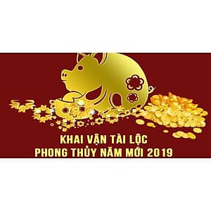  Khóa học PHONG CÁCH SỐNG- Khai Vận Tài Lộc - Phong thủy Năm Mới 2019 - Đón Đầu Thành Công