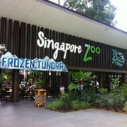 Vé Tham Quan Sở Thú Singapore - Singapore Zoo