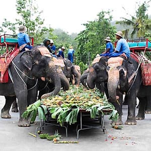 Vé Phuket Safari Gói D + Bữa Tối (14:30-19:00)