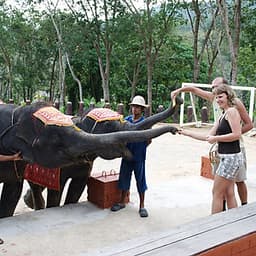 Vé Phuket Safari Gói D + Bữa Tối (14:30-19:00)