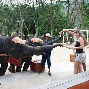 Vé Phuket Safari Gói D + Bữa Tối (14:30-19:00)
