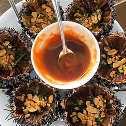 Tour đi bộ dưới biển Cù Lao Chàm