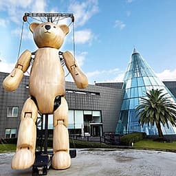 Vé Bảo Tàng Gấu Teddy Jeju, Hàn Quốc