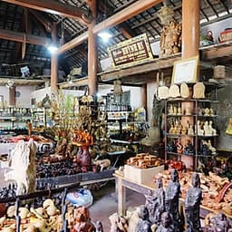 [Đà Nẵng] Tour Rừng Dừa Bảy Mẫu Hội An 01 Ngày, Khởi Hành Hàng Ngày